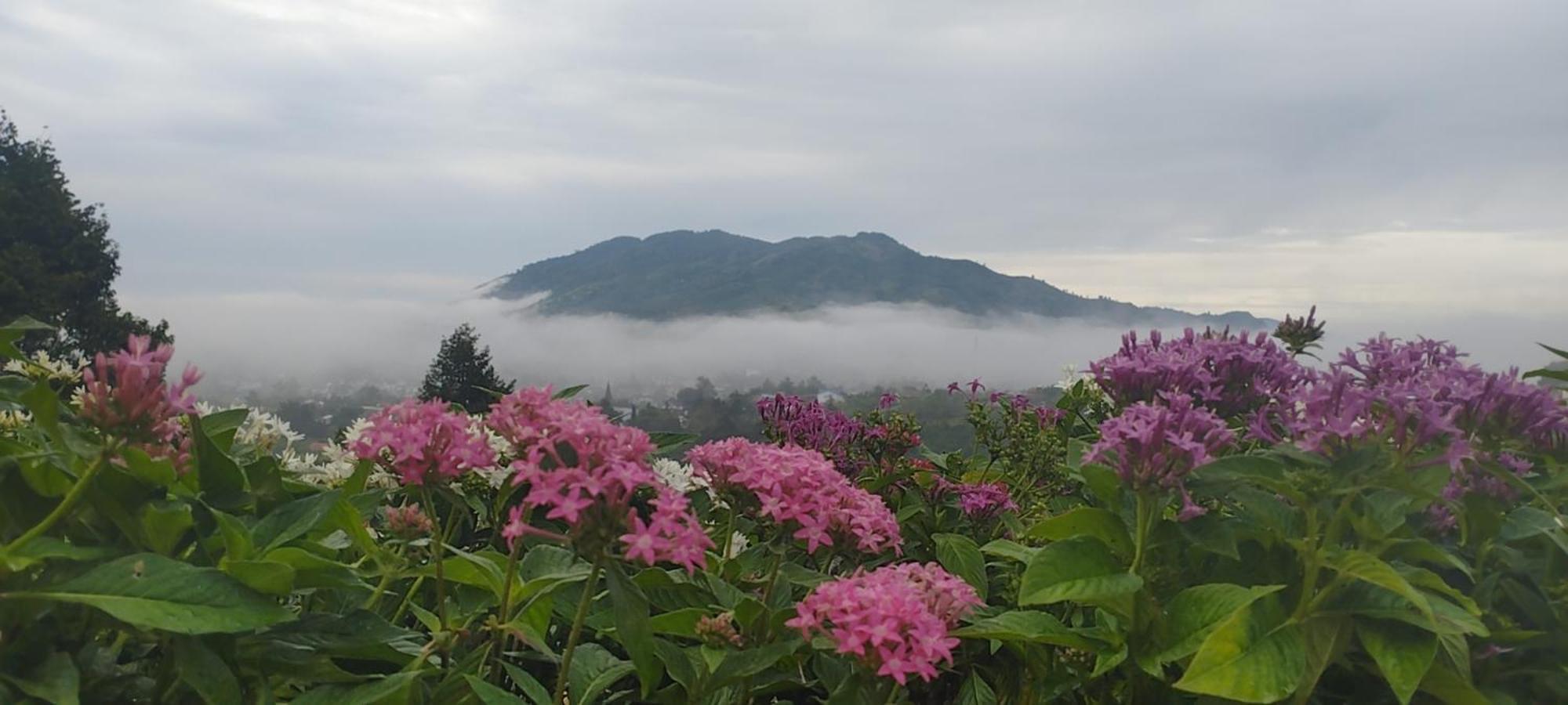 Homestay Chan Que Bao Loc Exterior photo